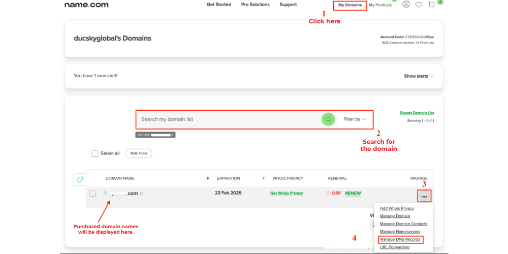 Guide to buying and linking a domain with Name.com.