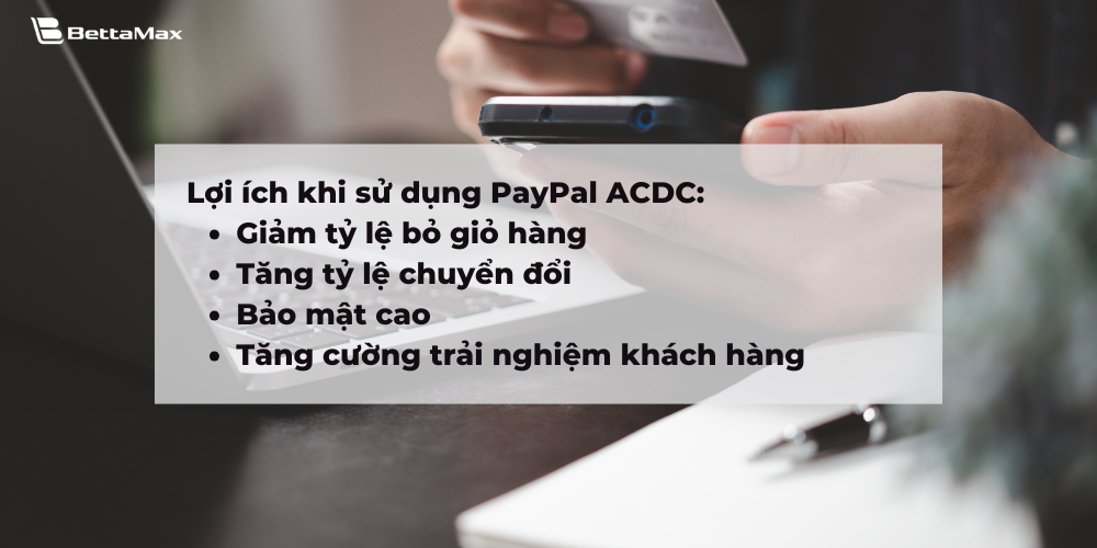 PayPal ACDC đặc biệt phù hợp cho seller kinh doanh mảng thương mại điện tử