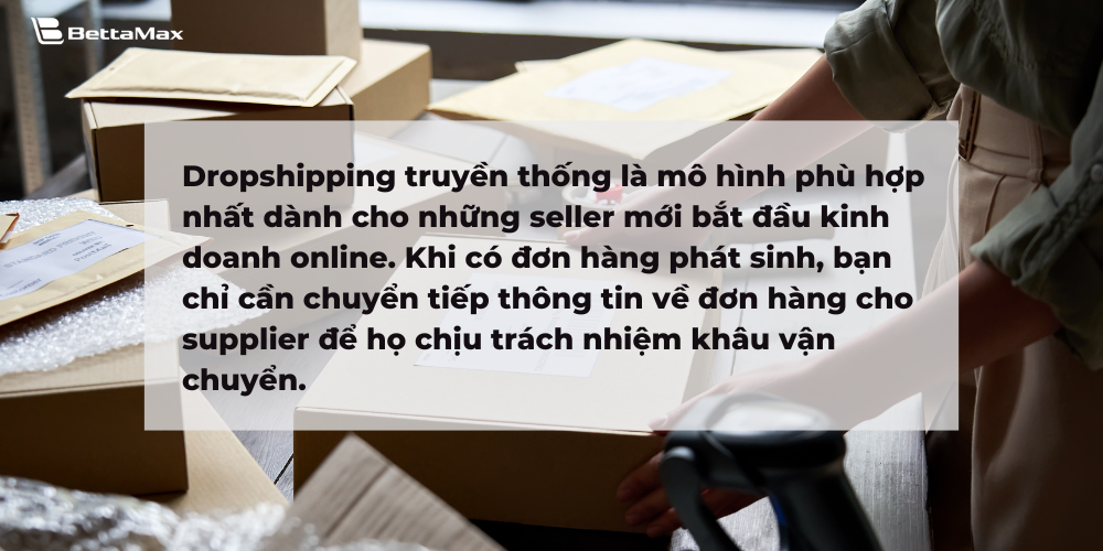 Dropshipping truyền thống là mô hình phù hợp nhất với những seller mới bắt đầu kinh doanh