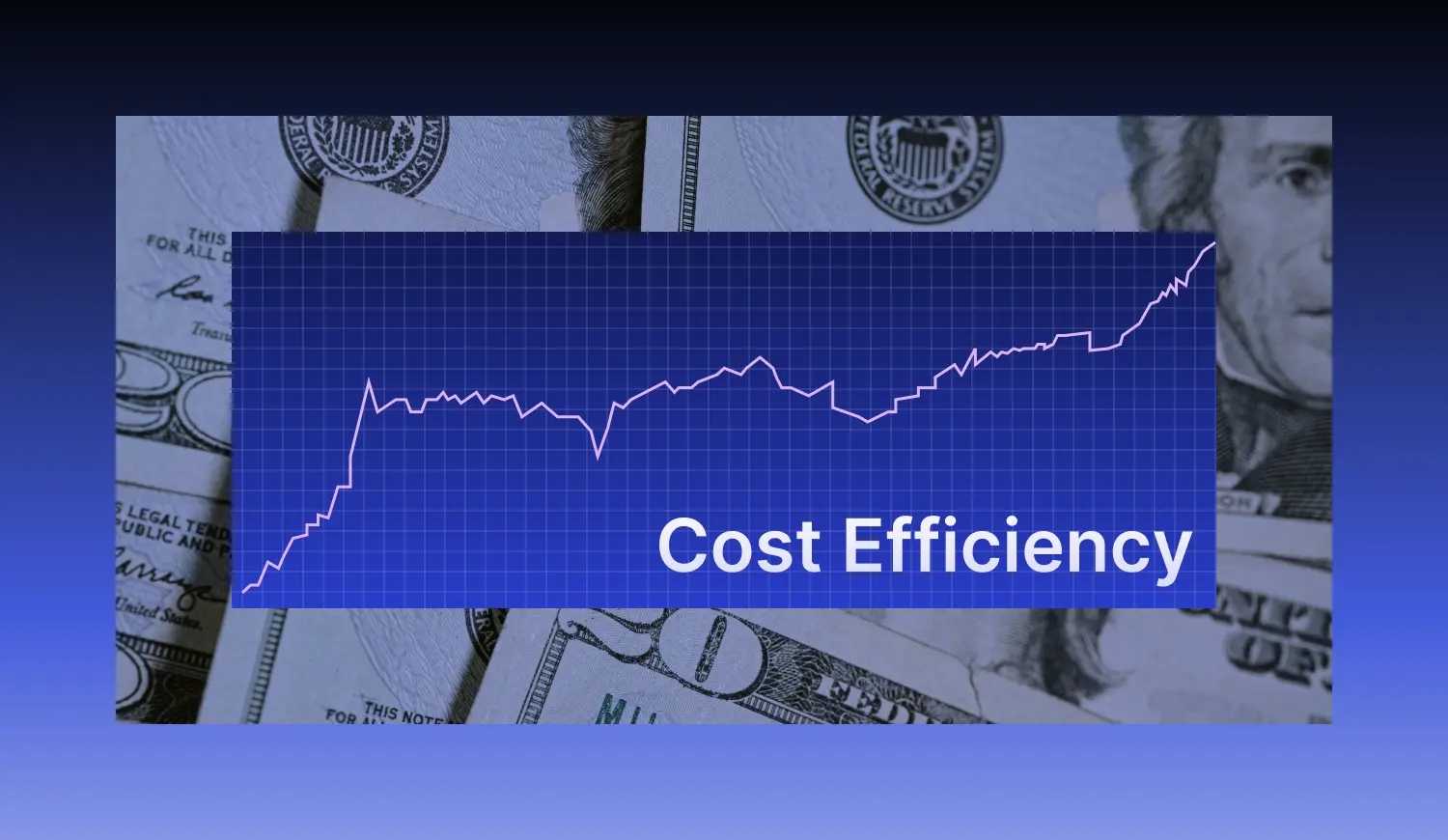 Cost-efficiency-without-fixed-overhead