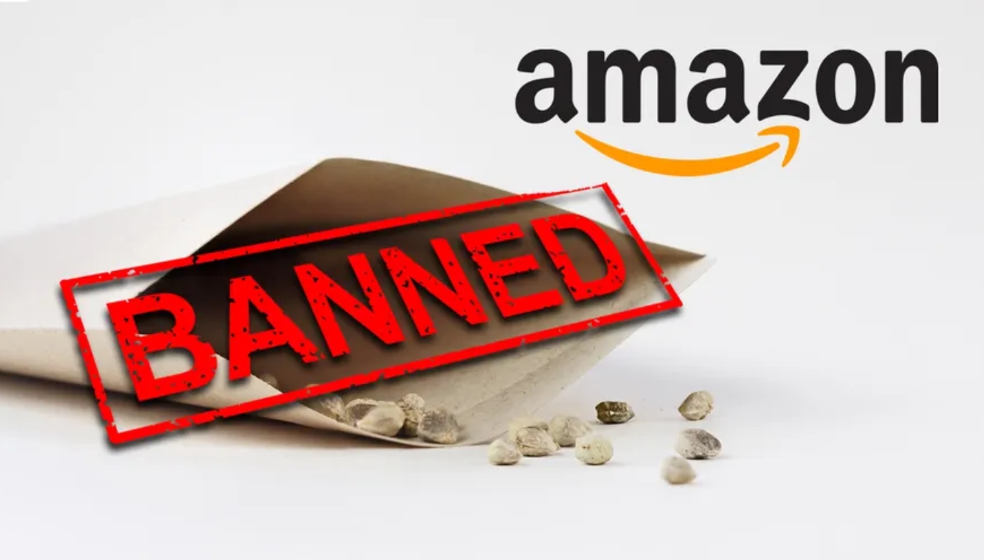 is-amazon-dropopshipping-legal