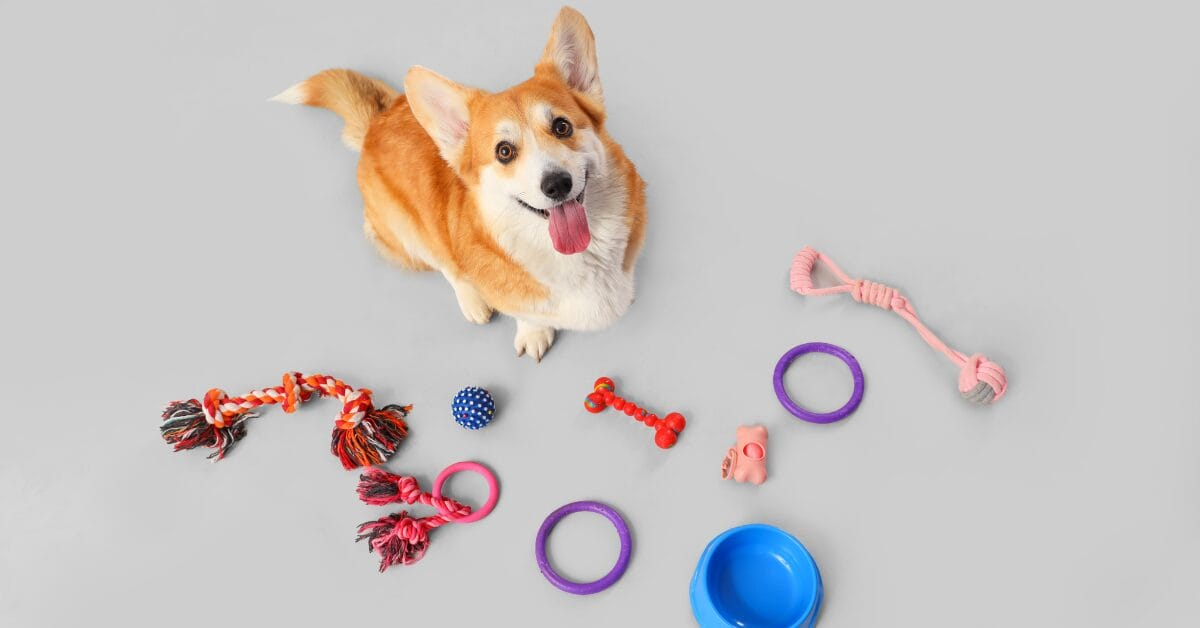 Exceptional-repeat-purchase-rates-drive-customer-lifetime-value