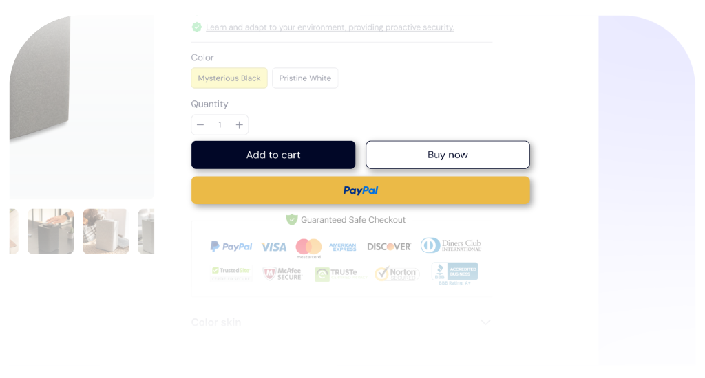 Illustrative PayPal payment option in a BettaMax store