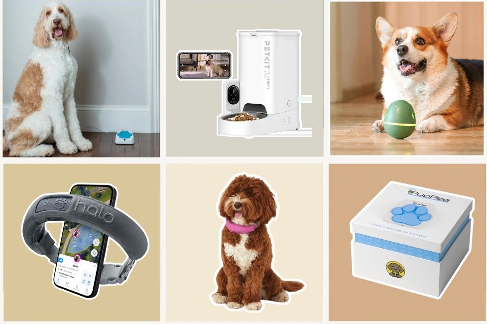 Smart-and-tech-pet-products