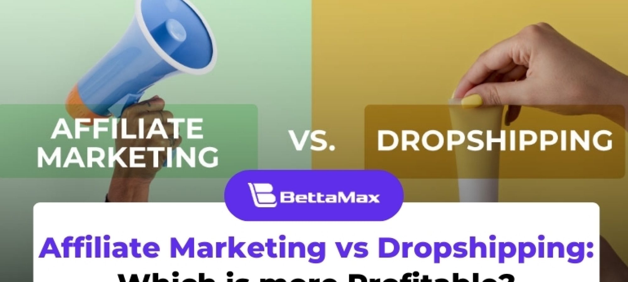 Affiliate Marketing vs Dropshipping (1)