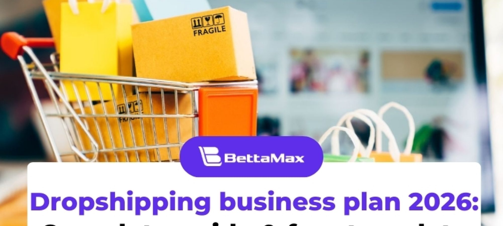 Dropshipping business plan