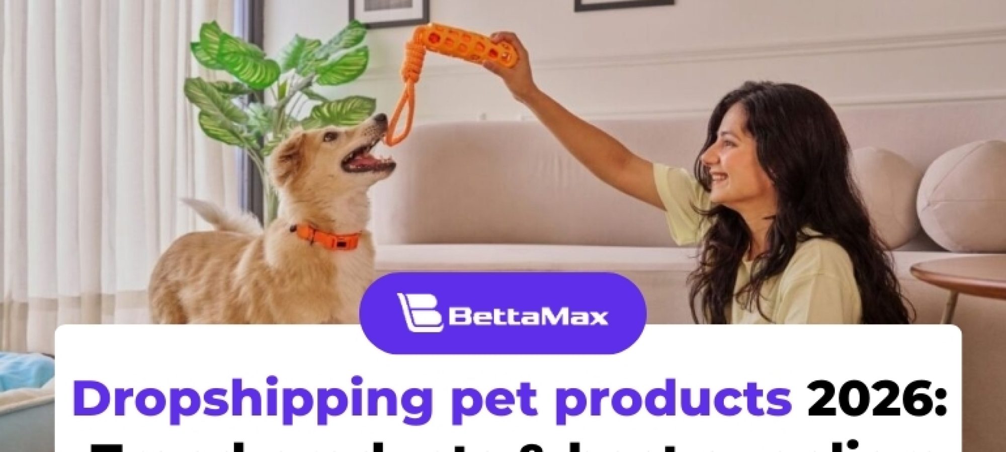 Dropshipping-pet-products