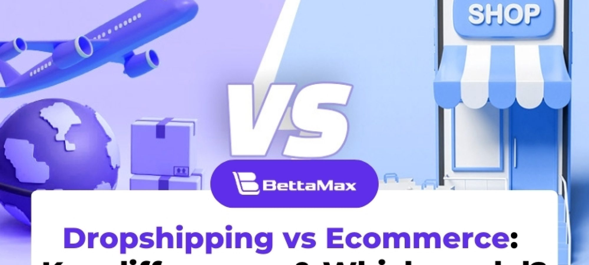 Dropshipping-vs-Ecommerce