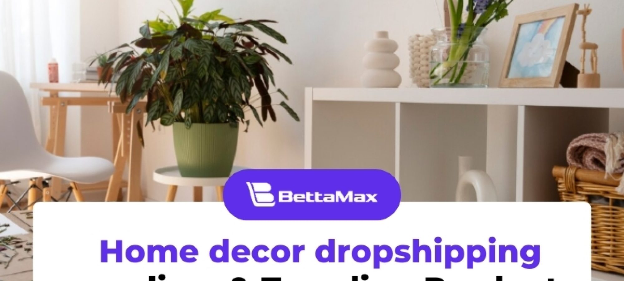 Home-decor-dropshipping