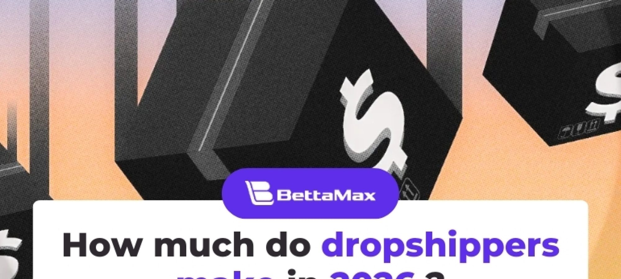 How much do dropshippers make (1)