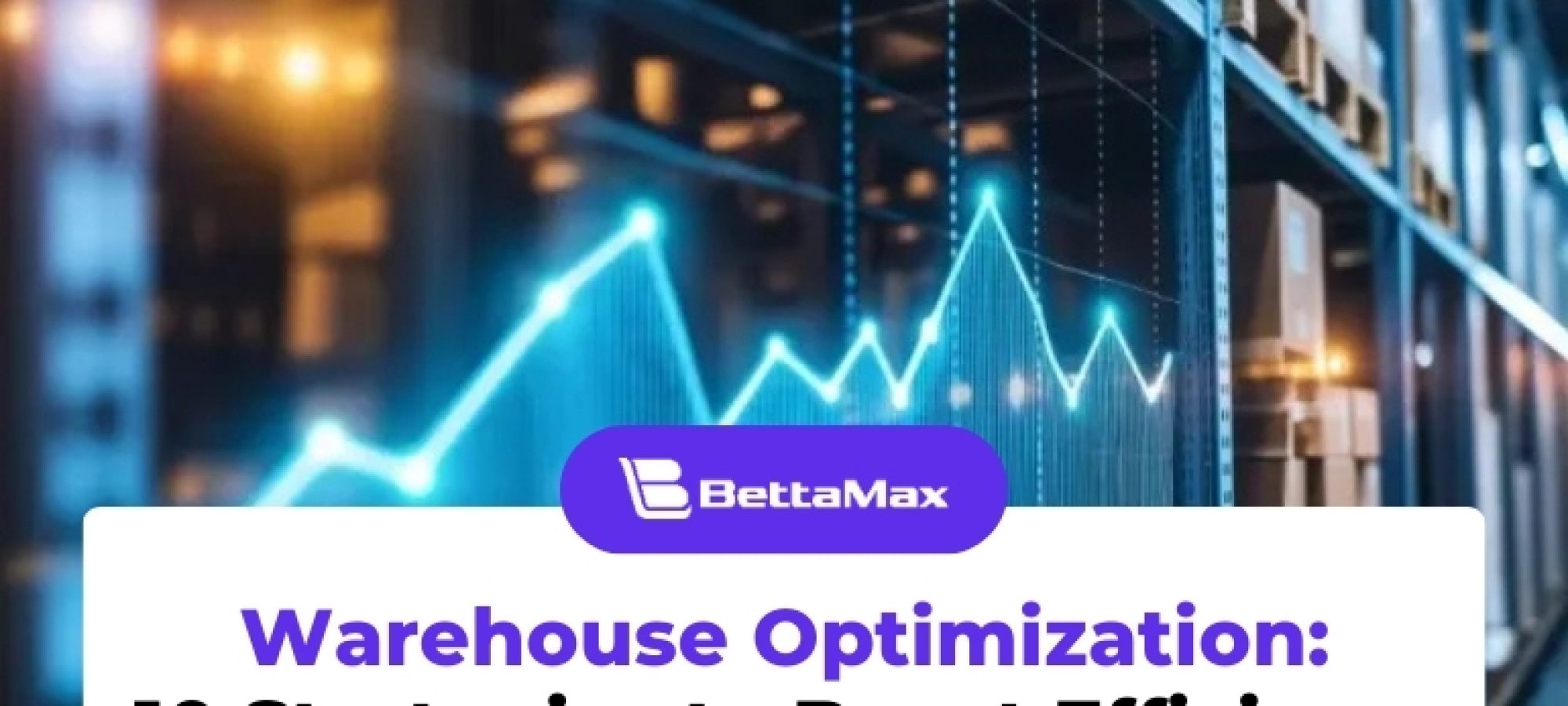 Warehouse Optimization