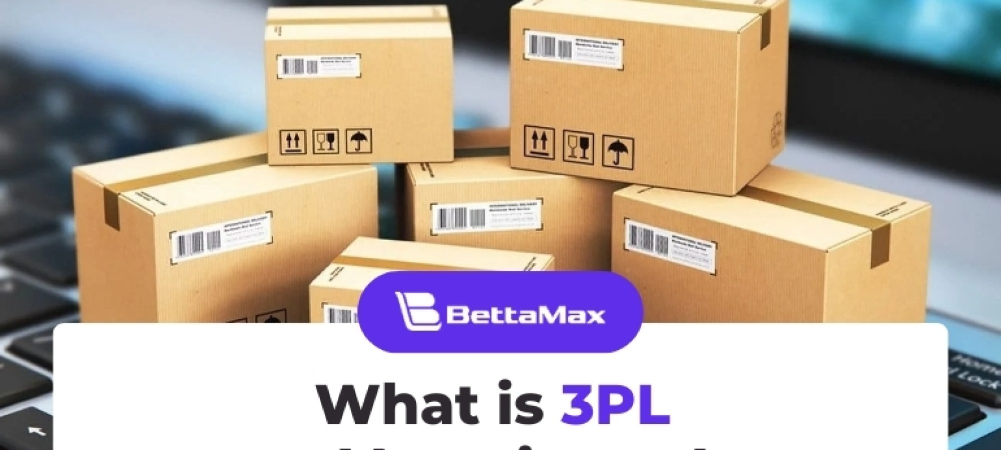 What is 3PL
