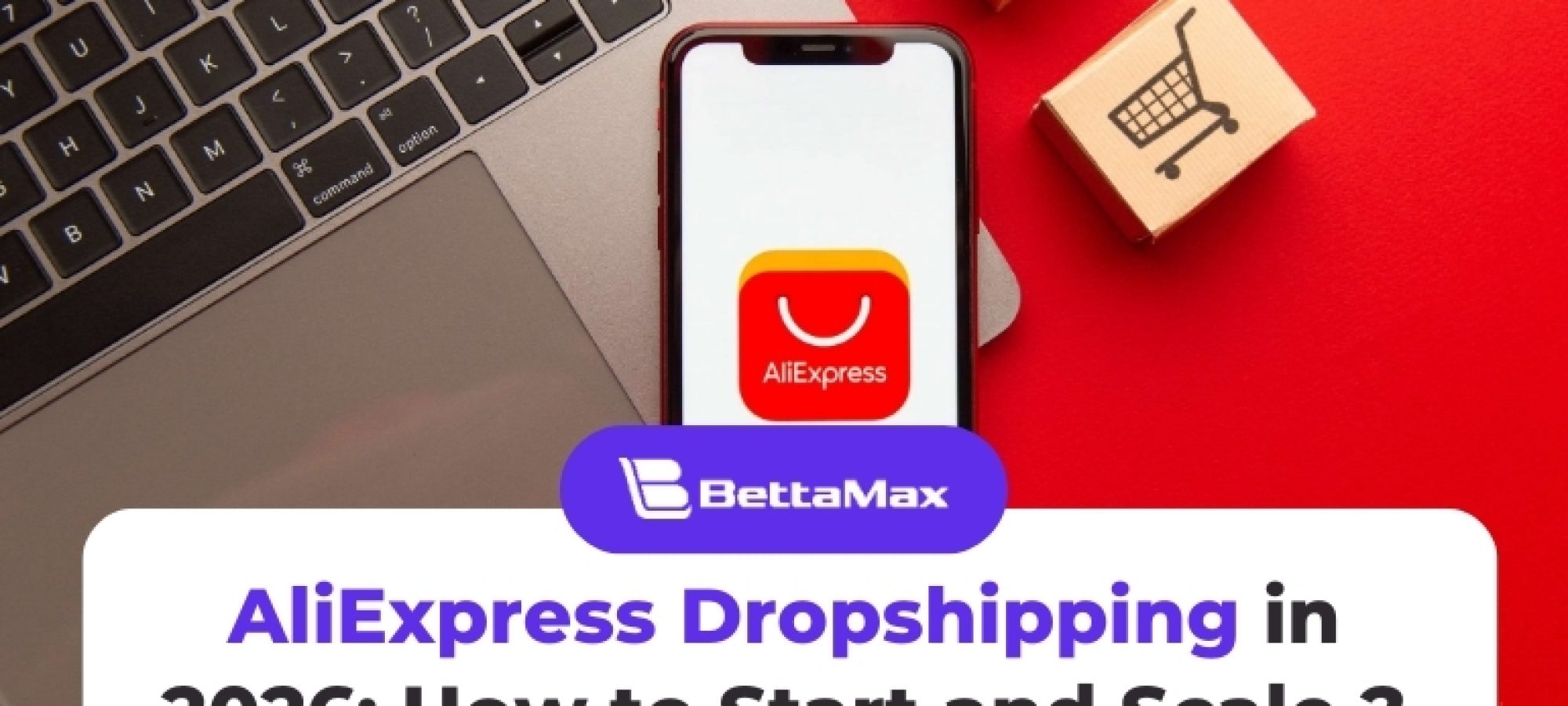 aliexpress dropshipping (1)