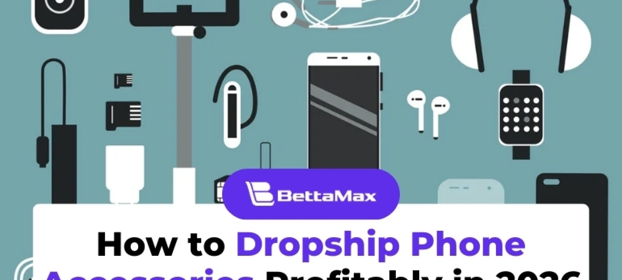 dropshipping-phone-accessories