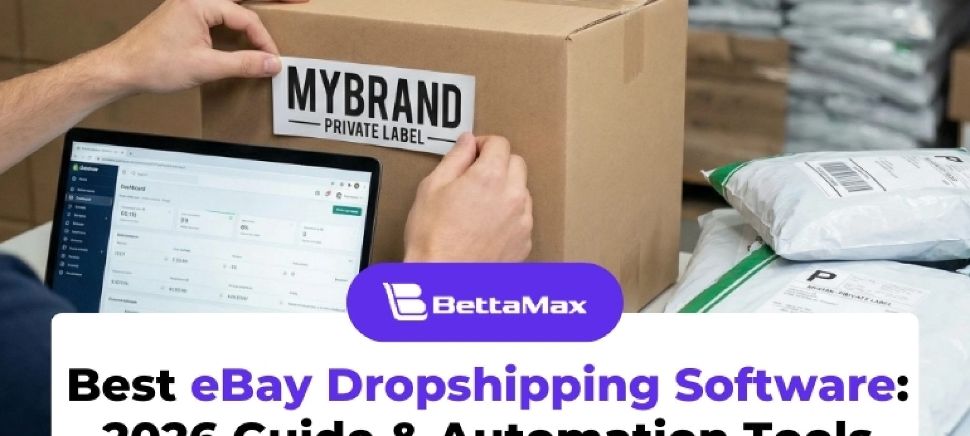 ebay dropshipping software