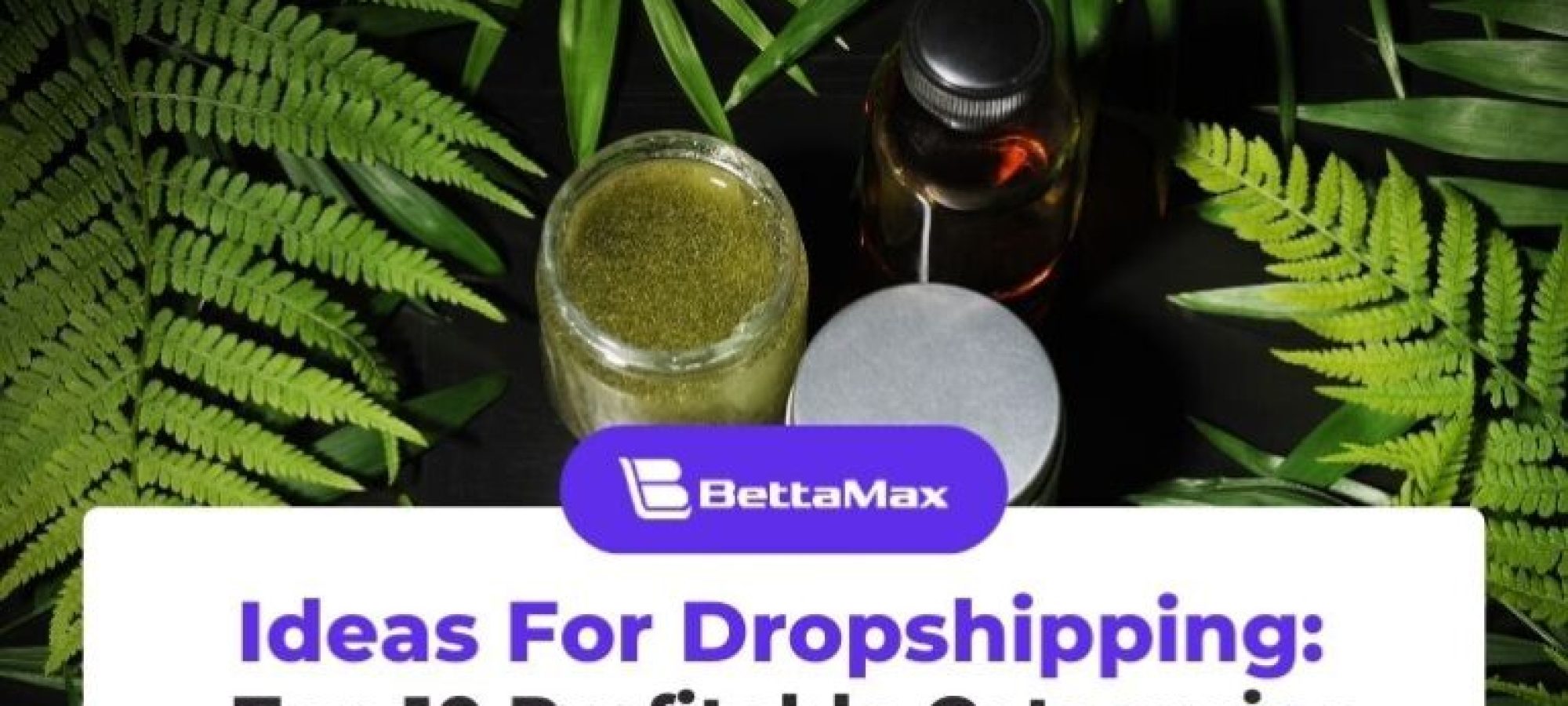 Ideas For Dropshipping: Top 10 Profitable Categories