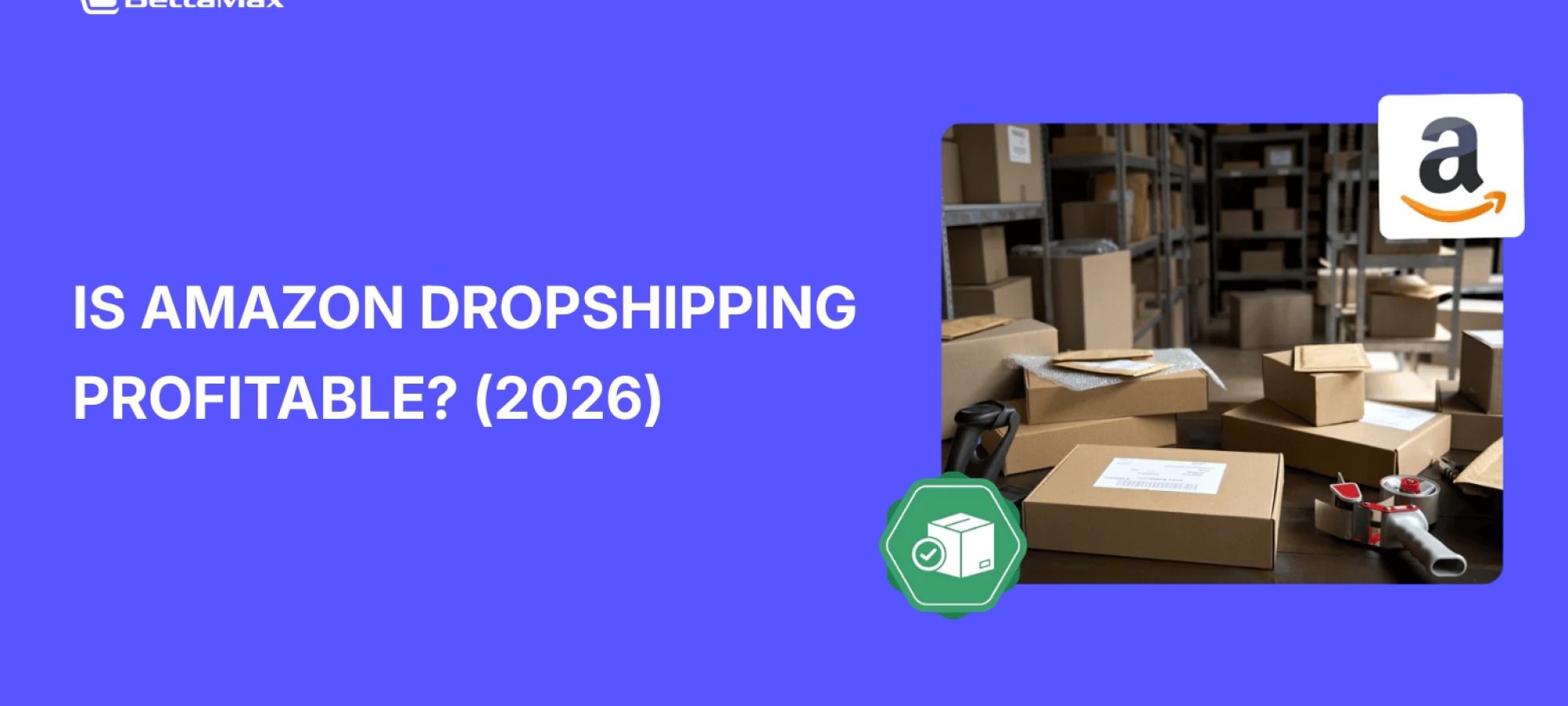 is-amazon-dropshipping-still-profitable
