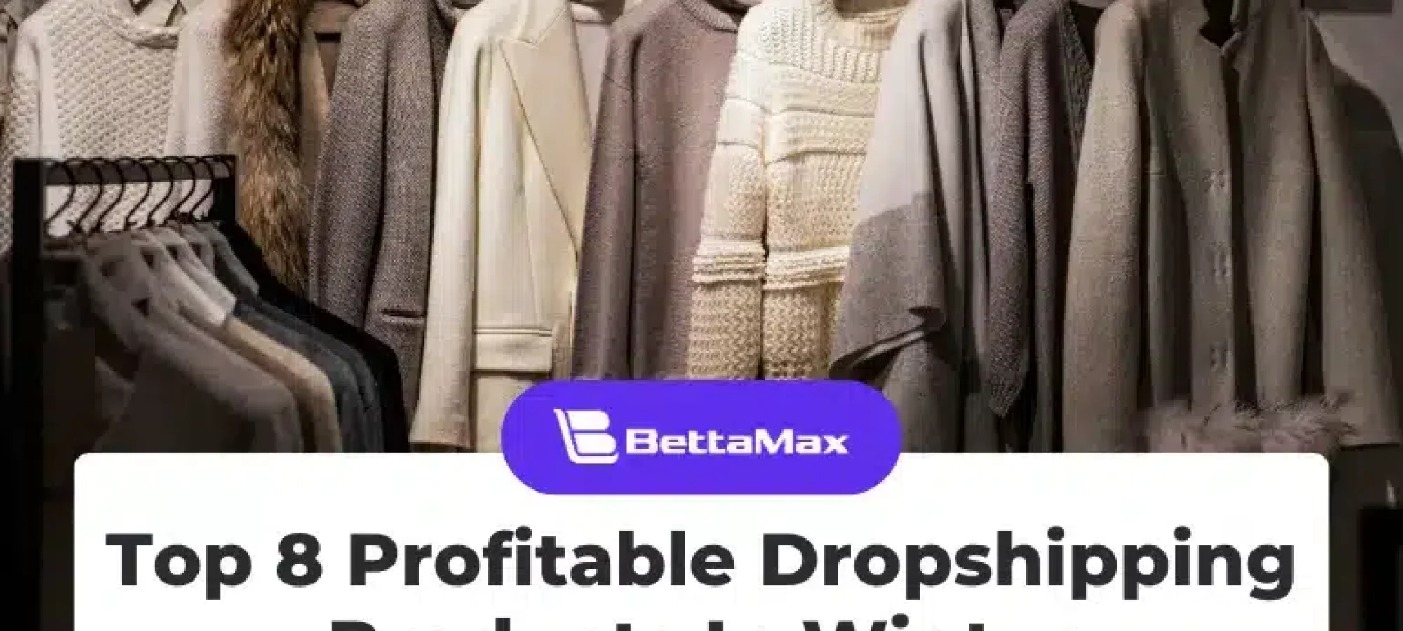 Top 8 Profitable Dropshipping Products In Winter